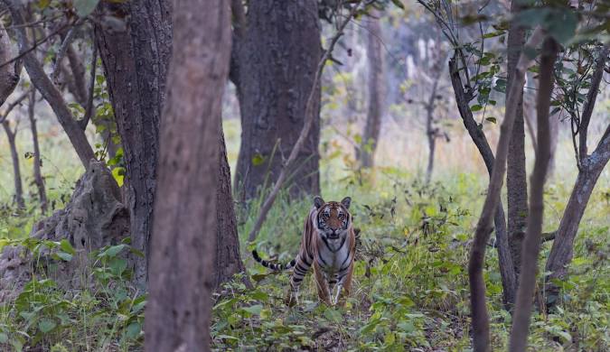 Dudhwa National Park